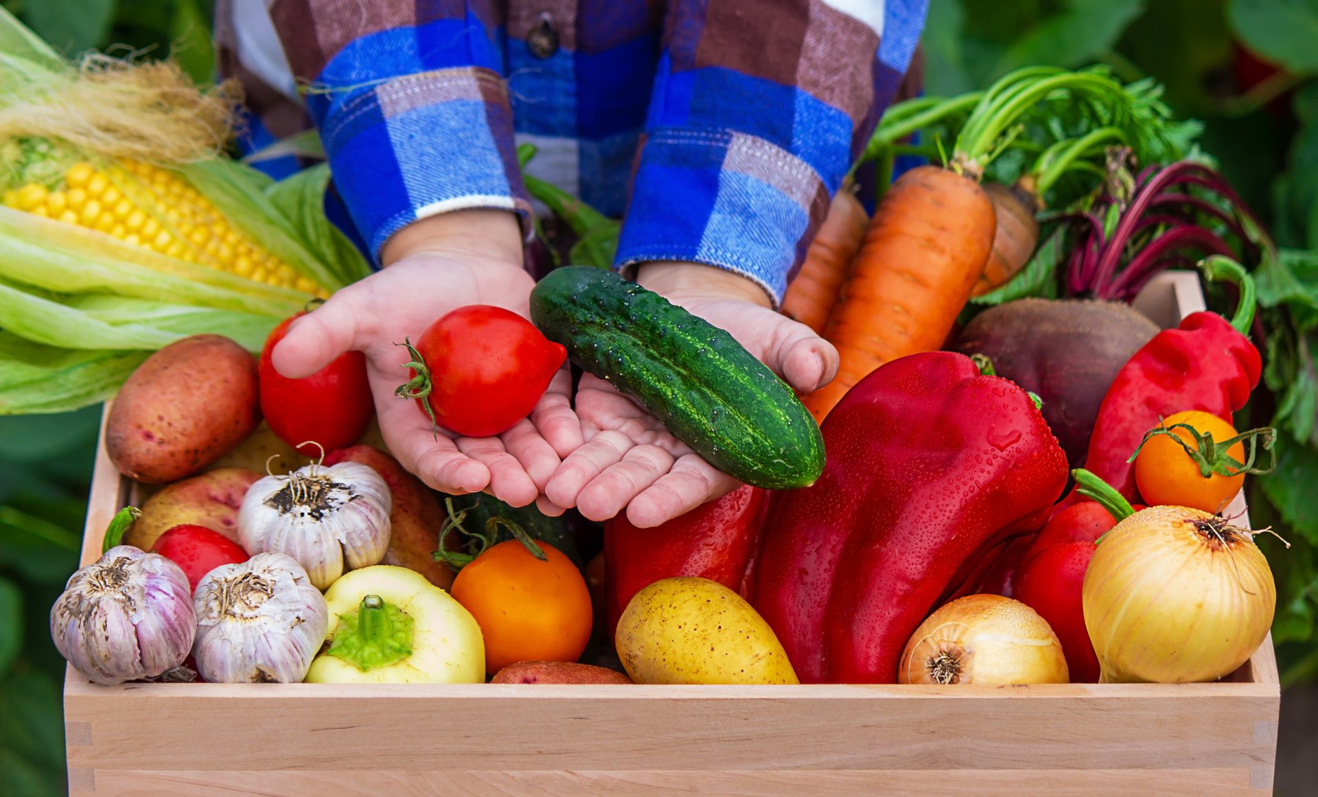 A child holding freshly picked healthy vegetables, the outcome a grower is protecting when an outbreak is caught early